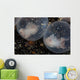 Flamboyant Cuttlefish Embryos Develop Wall Decal