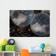 Flamboyant Cuttlefish Embryos Develop Wall Decal