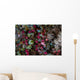 Colorful Tunicates Grow among Wall Decal