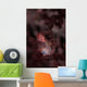 Pygmy Seahorse Clings to Wall Decal