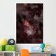 Pygmy Seahorse Clings to Wall Decal