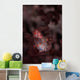 Pygmy Seahorse Clings to Wall Decal