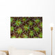 Coral Polyps Wait for Wall Decal
