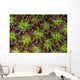 Coral Polyps Wait for Wall Decal
