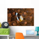 Clark's Anemonefish Nuggles into Wall Decal Design 2