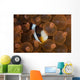 Clark's Anemonefish Nuggles into Wall Decal Design 2