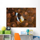 Clark's Anemonefish Nuggles into Wall Decal Design 2
