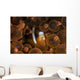 Clark's Anemonefish Nuggles into Wall Decal Design 1