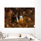 Clark's Anemonefish Nuggles into Wall Decal Design 1