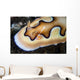 Tiny Emperor Shrimp Nudibranch Wall Decal