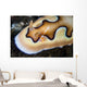 Tiny Emperor Shrimp Nudibranch Wall Decal