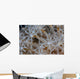 Soft Coral Polyps Growing Wall Decal