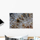 Soft Coral Polyps Growing Wall Decal