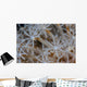 Soft Coral Polyps Growing Wall Decal
