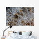 Soft Coral Polyps Growing Wall Decal