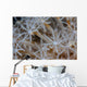 Soft Coral Polyps Growing Wall Decal