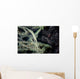Tozeuma Shrimp Blends into Wall Decal Design 2