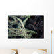 Tozeuma Shrimp Blends into Wall Decal Design 2