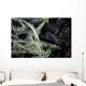 Tozeuma Shrimp Blends into Wall Decal Design 2