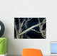 Tozeuma Shrimp Blends into Wall Decal Design 1