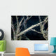 Tozeuma Shrimp Blends into Wall Decal Design 1