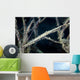 Tozeuma Shrimp Blends into Wall Decal Design 1