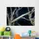 Tozeuma Shrimp Blends into Wall Decal Design 1