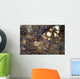 Peacock-tail Anemone Shrimp Sits Wall Decal