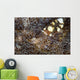 Peacock-tail Anemone Shrimp Sits Wall Decal