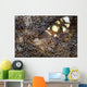 Peacock-tail Anemone Shrimp Sits Wall Decal