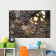 Peacock-tail Anemone Shrimp Sits Wall Decal
