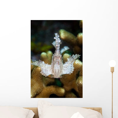 Leaf Scorpionfish Reef Komodo Wall Decal Design 3 shown on a wall