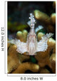 Leaf Scorpionfish Reef Komodo Wall Decal Design 3