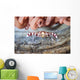 Harlequin Swimming Crab Sits Wall Decal