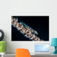 Small Whip Coral Goby Wall Decal