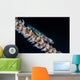 Small Whip Coral Goby Wall Decal