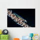 Small Whip Coral Goby Wall Decal