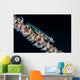 Small Whip Coral Goby Wall Decal