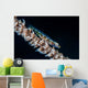 Small Whip Coral Goby Wall Decal
