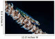 Small Whip Coral Goby Wall Decal