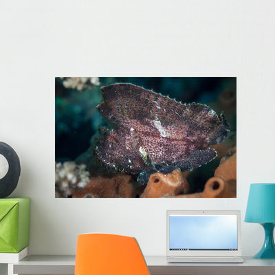Leaf Scorpionfish Reef Komodo Wall Decal Design 1 shown on a wall