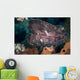Leaf Scorpionfish Reef Komodo Wall Decal Design 1