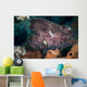Leaf Scorpionfish Reef Komodo Wall Decal Design 1