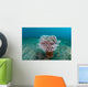 Tube Anemone Grows Sandy Wall Decal Design 2