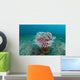 Tube Anemone Grows Sandy Wall Decal Design 2