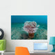 Tube Anemone Grows Sandy Wall Decal Design 2