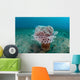 Tube Anemone Grows Sandy Wall Decal Design 2