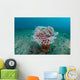 Tube Anemone Grows Sandy Wall Decal Design 2