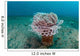 Tube Anemone Grows Sandy Wall Decal Design 2