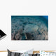 Flounder Blends into Its Wall Decal